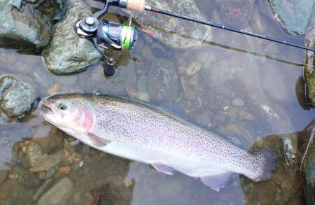 ばらしてばかり ～天竜川ルアーフライテンカラ専用区～